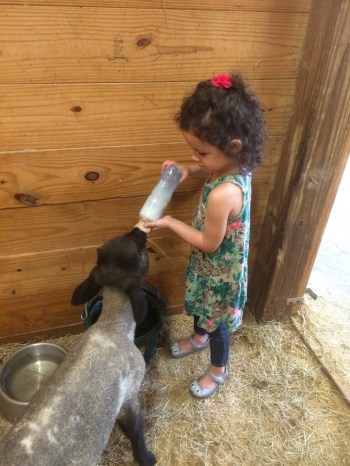 feeding-loretta-bottle